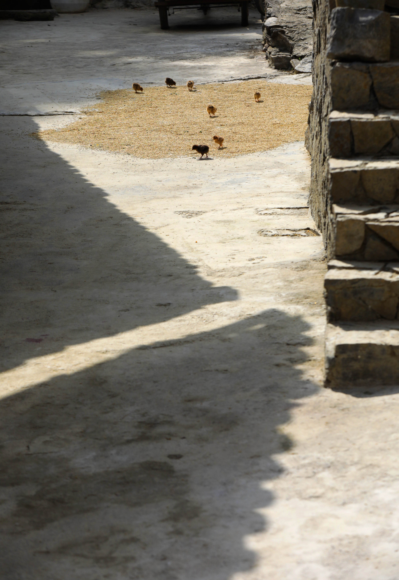 Trước đây, cuộc sống người dân Thèn Pả xoay quanh ruộng vườn, chăn nuôi, trồng trọt.