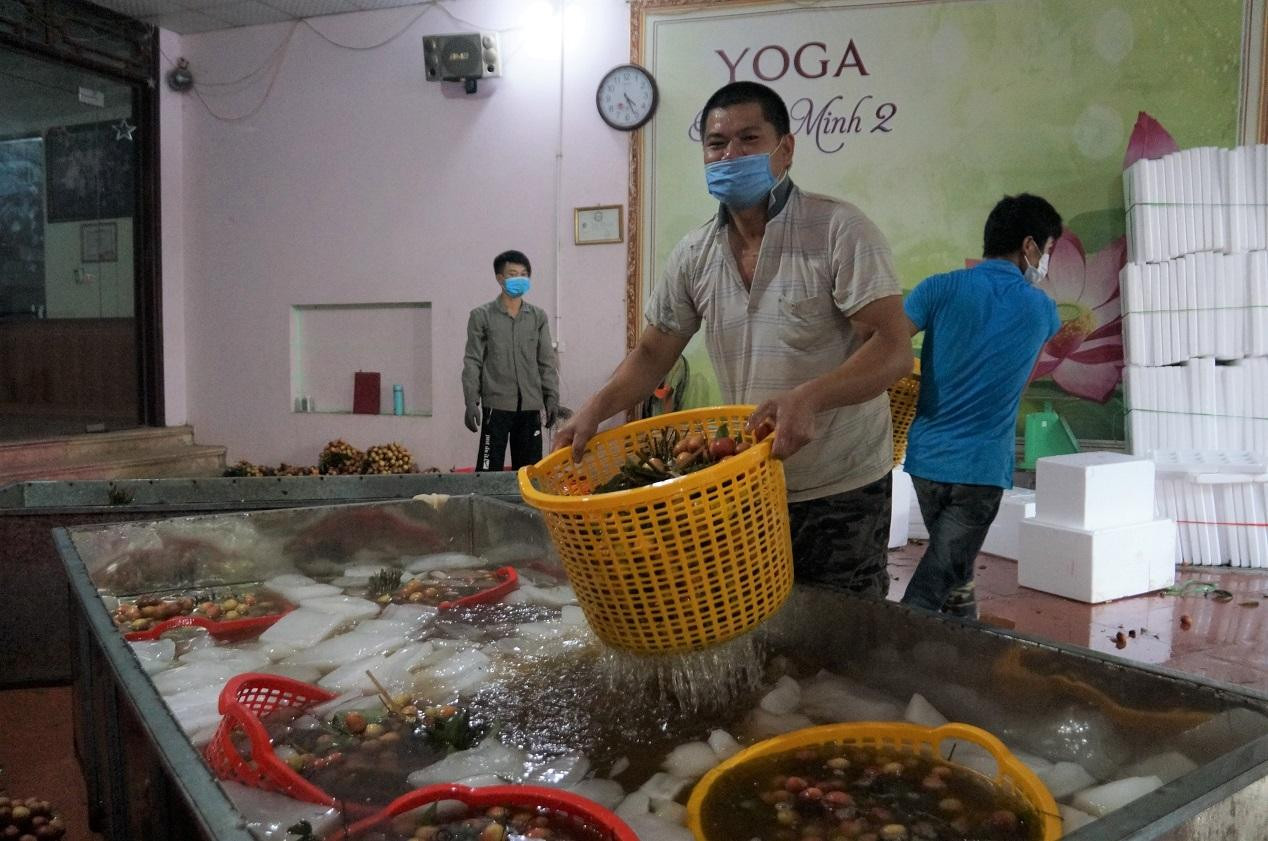 Vải thiều được rửa, ngâm qua nước đá lạnh trước khi đóng gói. Vải thiều được rửa, ngâm qua nước đá lạnh trước khi đóng gói.