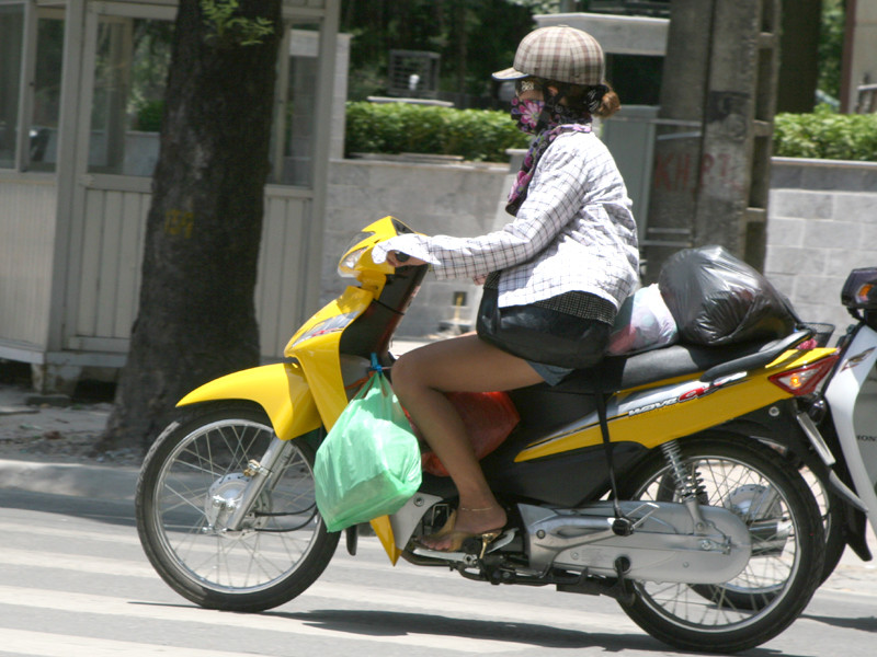 Mệt mỏi vì nắng nóng ảnh 10