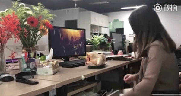 'Thánh ăn công sở' gây choáng khi nướng gà bằng chậu hoa, lấy xương làm đồ chơi ảnh 2