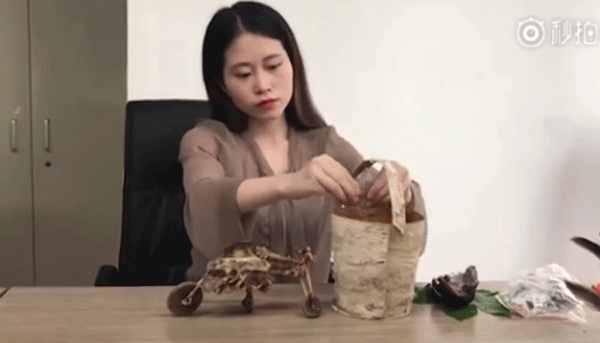 'Thánh ăn công sở' gây choáng khi nướng gà bằng chậu hoa, lấy xương làm đồ chơi ảnh 8
