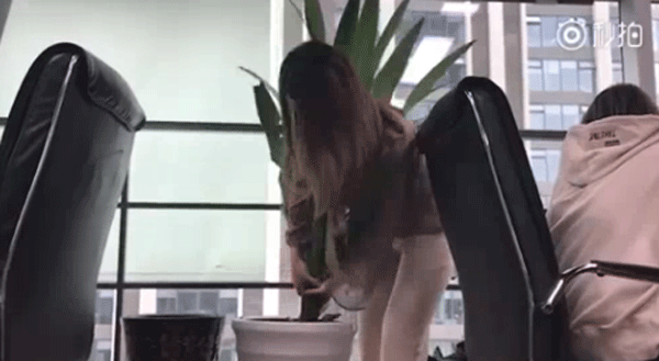 'Thánh ăn công sở' gây choáng khi nướng gà bằng chậu hoa, lấy xương làm đồ chơi ảnh 5