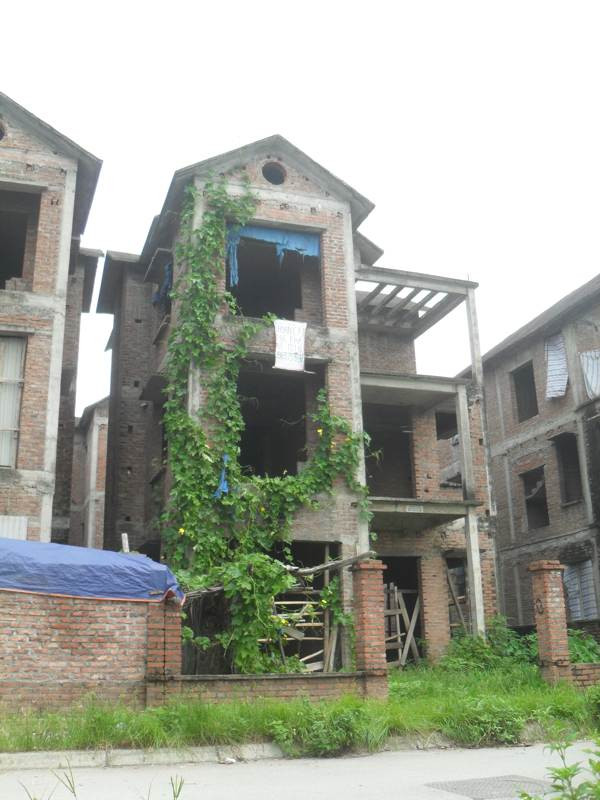 Cỏ mọc tận nóc nhà 