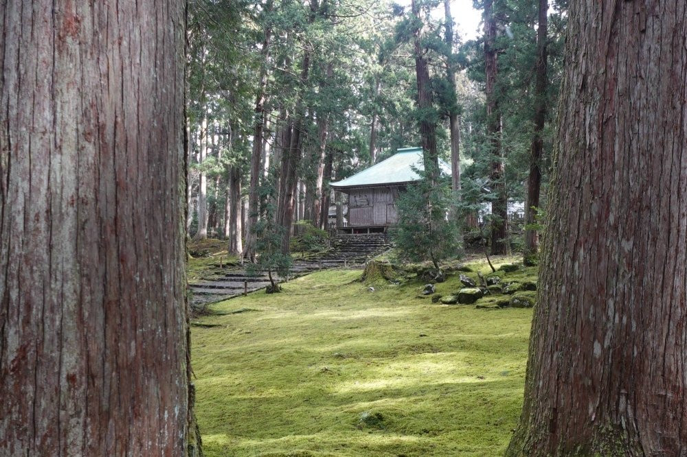 Đền Heisenji Hakusan được bao phủ màu xanh mướt đem lại cảm giác yên bình cho nơi đây. Đền Heisenji Hakusan được bao phủ màu xanh mướt đem lại cảm giác yên bình cho nơi đây.