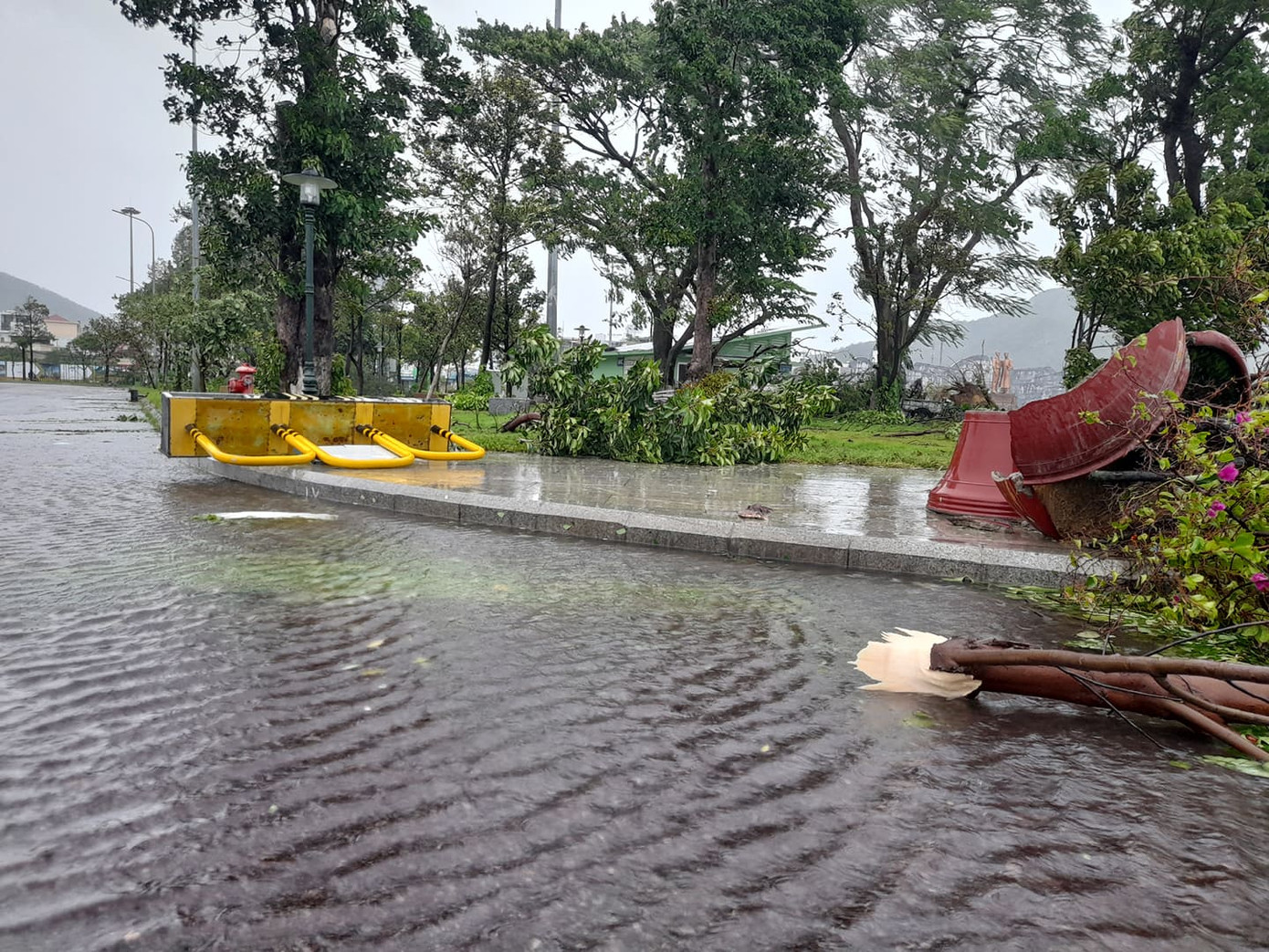 Tại TP Quy Nhơn (Bình Định), gió bắt mạnh lên và có mưa nặng hạt - Ảnh: Trương Định Bão số 9 đổ bộ Quảng Nam - Quảng Ngãi, giật cấp 13 ảnh 33