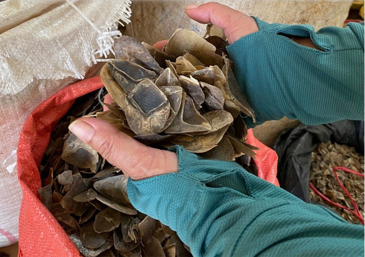 Tang vật của vụ án. Tang vật của vụ án.