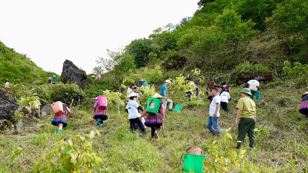Chương trình "Góp lá vá rừng" tại Khu bảo tồn Hang Kia - Pà Cò. Ảnh: Pannature cung cấp.