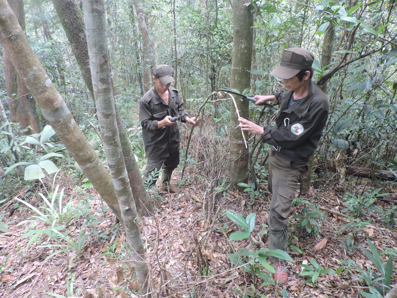Lực lượng tuần tra rừng tại Khu bảo tồn Sao La thực hiện gỡ bẫy dây. Ảnh: WWF - Việt Nam. Lực lượng tuần tra rừng tại Khu bảo tồn Sao La thực hiện gỡ bẫy dây. Ảnh: WWF - Việt Nam.