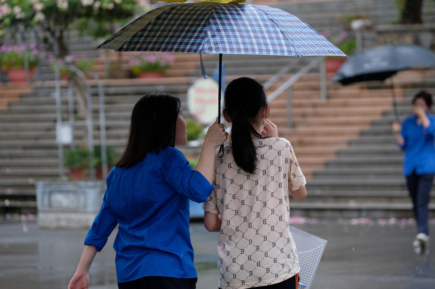 Lực lượng thanh niên tình nguyện che ô, hỗ trợ thí sinh vào phòng thi.