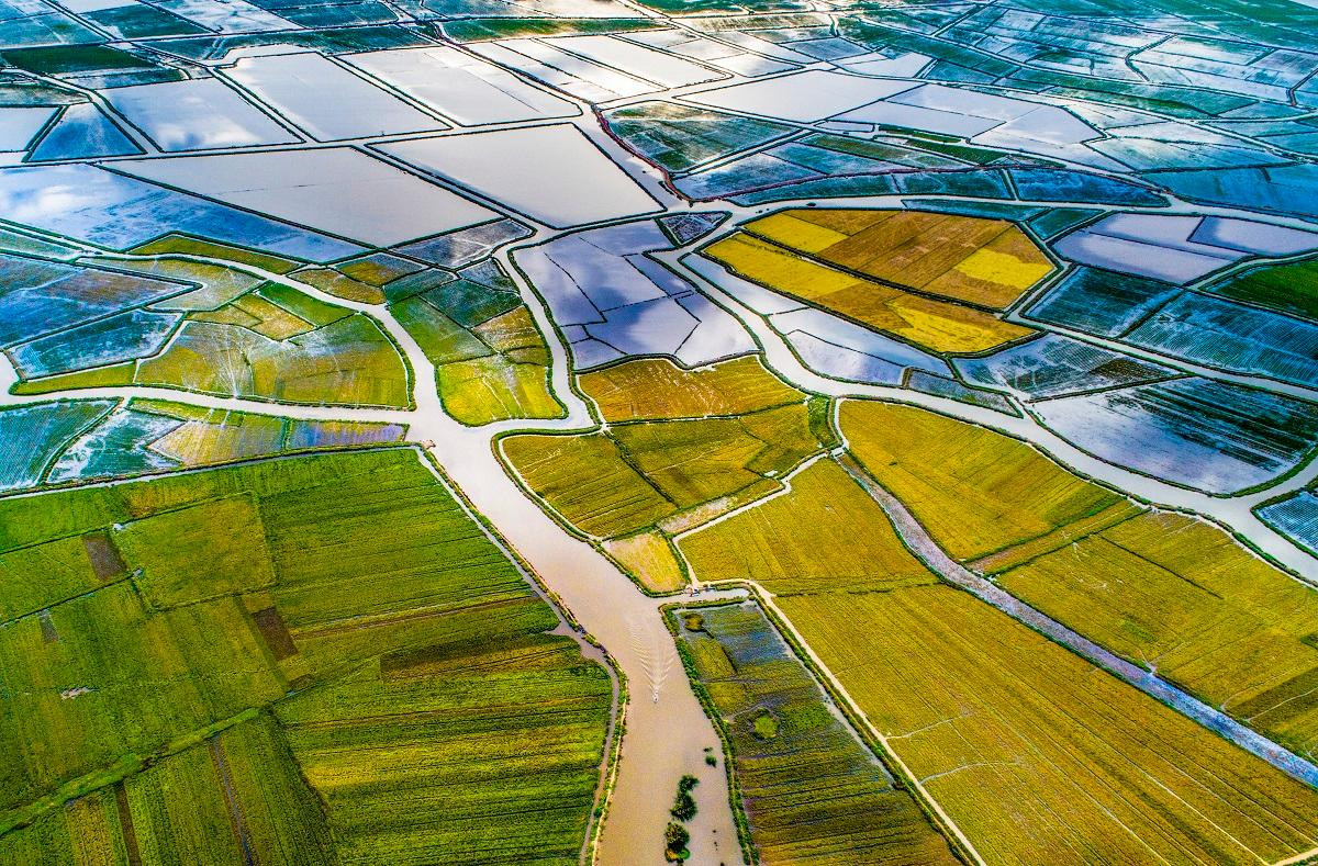 Tác phẩm "Bức họa đồng quê" của tác giả Lê Đức Thành ở Quảng Bình đạt giải khuyến khích. Tác phẩm chụp cảnh sắc Phá Hạc Hải, tỉnh Quảng Bình.