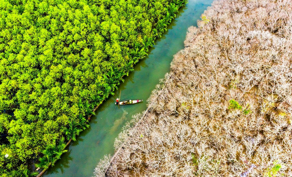 Tác phẩm "Mùa thay lá" của tác giả Vũ Bảo Ngọc ghi lại hình ảnh mùa thay lá của cây Trá trong Rừng Rú Chá Huế. Tác phẩm đạt giải Ba.