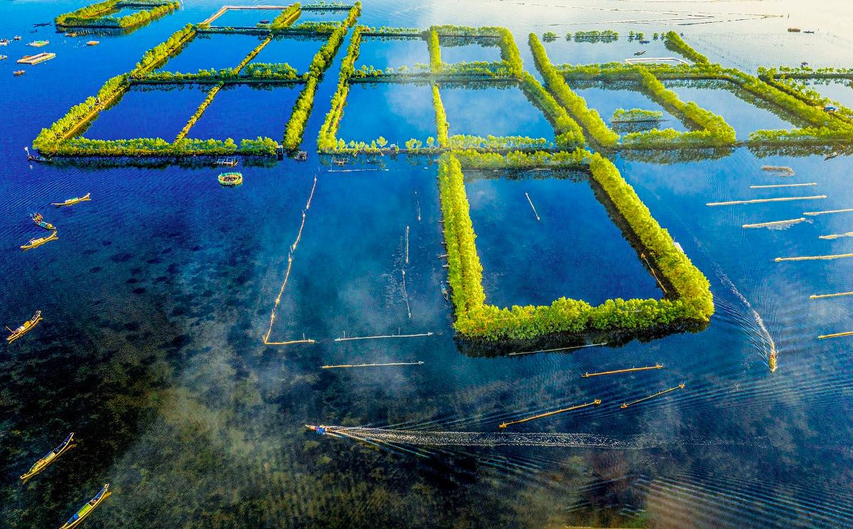 Tác phẩm "Ô rừng trên Phá Tam Giang" của tác giả Lê Văn Minh đạt giải Ba.