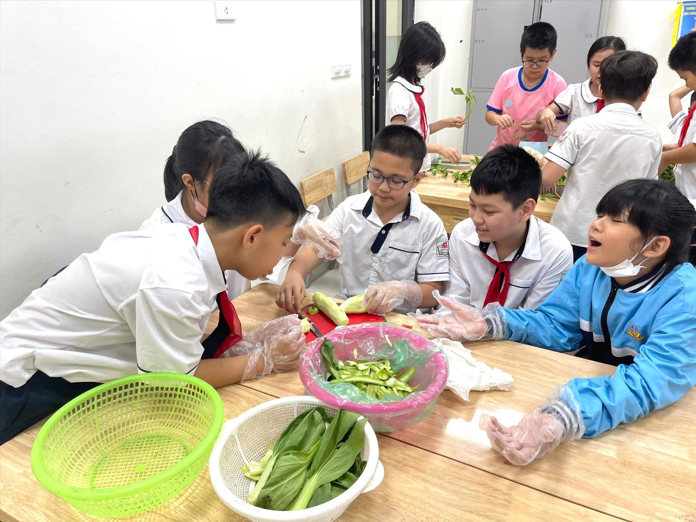 Học sinh tìm hiểu về các nghề nghiệp từ bậc tiểu học.