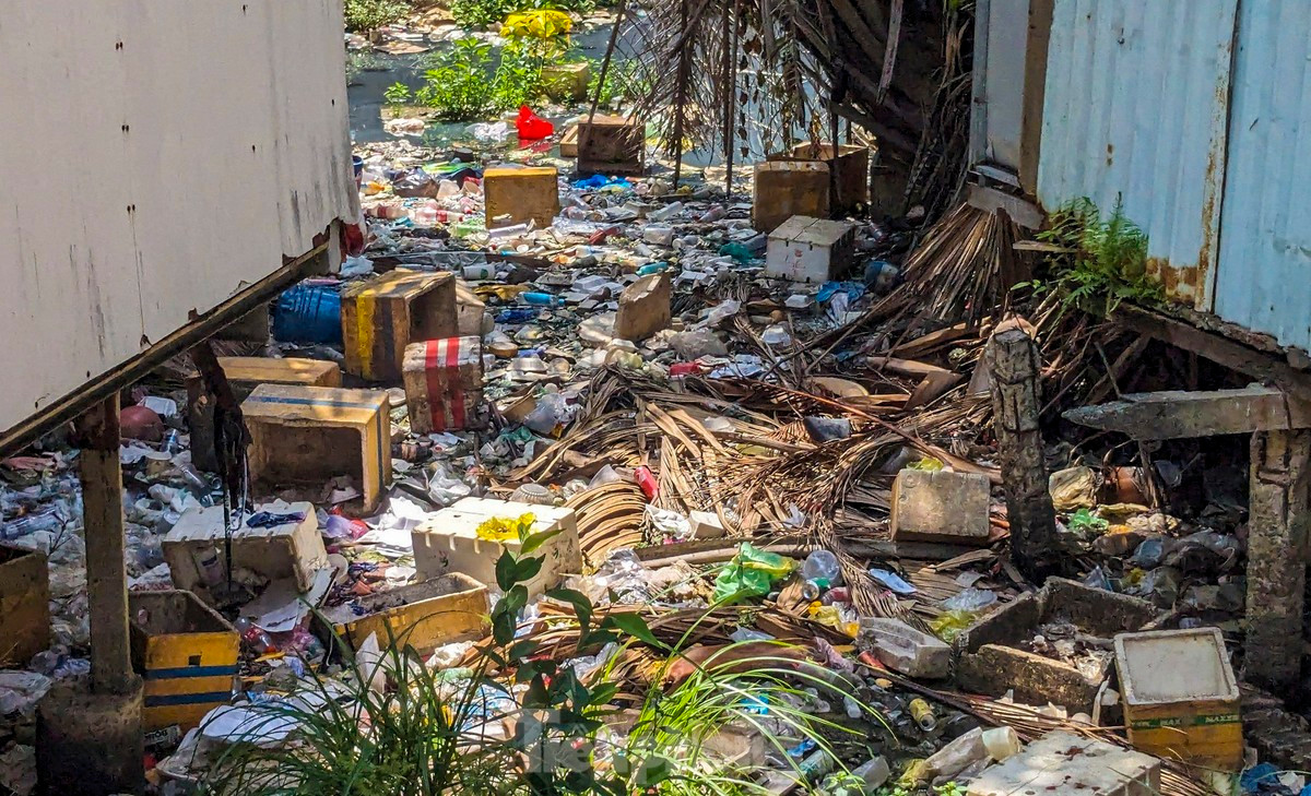 Rác thải trên rạch Văn Thánh chảy qua địa bàn huyện Bình Chánh, TPHCM. Ảnh: Duy Anh.