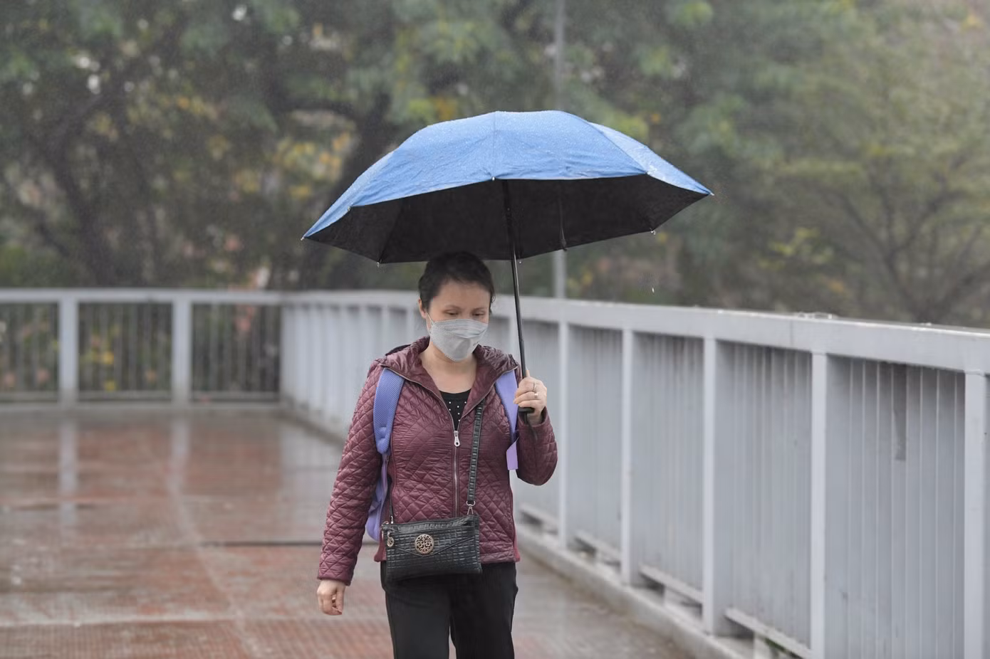 Miền Bắc sắp chuyển sang hình thái thời tiết sương mù, mưa phùn, mưa nhỏ. Ảnh minh hoạ: Như Ý.