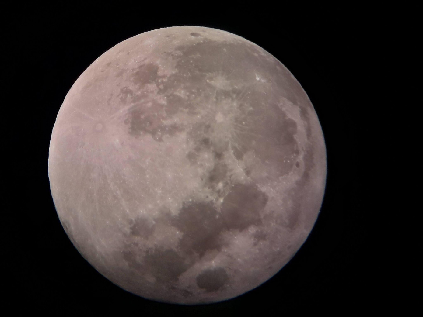 Sau khi kết thúc pha một phần, hiện tượng chuyển sang pha nguyệt thực nửa tối, khi đó Mặt Trăng có màu hồng do khí quyển Trái Đất. Ảnh: Đài Thiên văn Nha Trang cung cấp. Tại Đà Nẵng tối qua, nhiều bạn trẻ cũng háo hức chờ đợi sự kiện thiên văn thú vị nhất năm dù điều kiện quan sát không thực sự tốt do ảnh hưởng của trời nhiều mây. Trong ảnh là pha nguyệt thực một phần được chụp bởi bạn Nguyễn Phú Quang, đăng trên Fanpage Thiên văn Đà Nẵng. Hà Nội là một trong những nơi có thể quan sát khá tốt sự kiện thiên văn tối qua do điều kiện trời quang mây, không mưa. Tuy nhiên, tại Hà Nội chỉ có thể quan sát sự kiện từ sau 18h30, khi pha toàn phần đã kết thúc hoàn toàn, chuyển sang pha một phần. Trong ảnh là nguyệt thực và siêu trăng tối qua tại Hà Nội do Facebooker Miêu Miêu ghi lại. Nguyệt thực và siêu trăng tối qua trên bầu trời Hà Nội. Ảnh: ĐT.