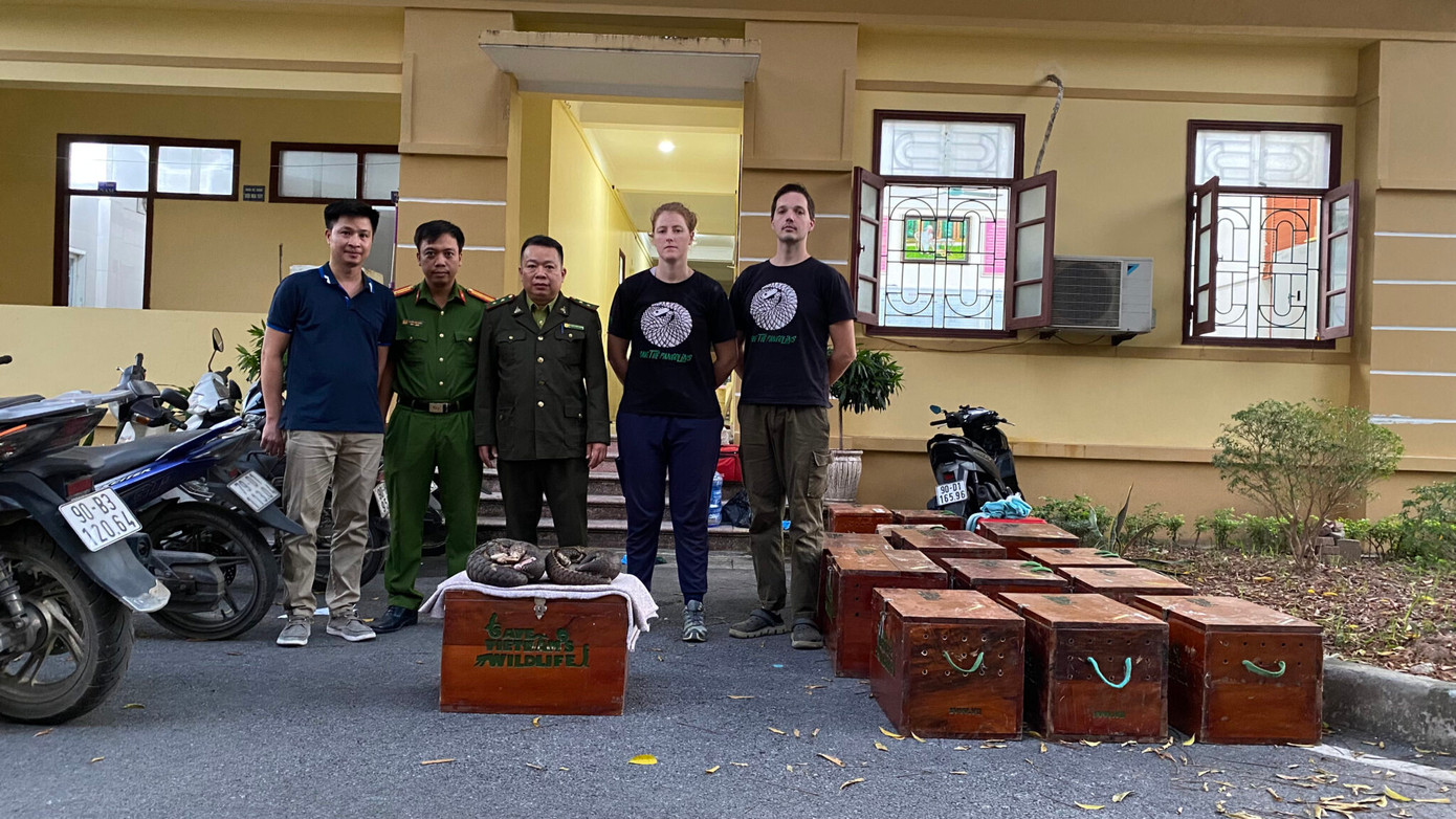 Đội cứu hộ tiếp nhận 11 cá thể Tê tê từ lực lượng chức năng.