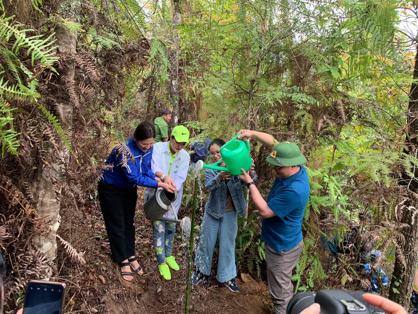 Những cây tre đầu tiên được trồng tại Mù Cang Chải, Yên Bái. Những cây tre đầu tiên được trồng tại Mù Cang Chải, Yên Bái.