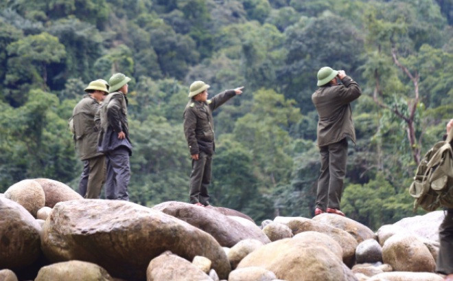 Hoạt động tuần tra rừng ở VQG Vũ Quang.