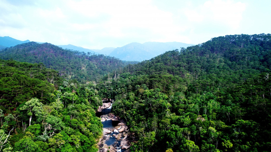 Vườn quốc gia Chư Yang Sin nổi tiếng với vẻ đẹp hoang sơ. Ảnh: nnptnt.daklak.gov.vn