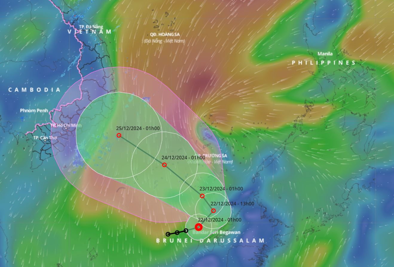 Dự báo đường đi của áp thấp nhiệt đới. Dự báo đường đi của áp thấp nhiệt đới.