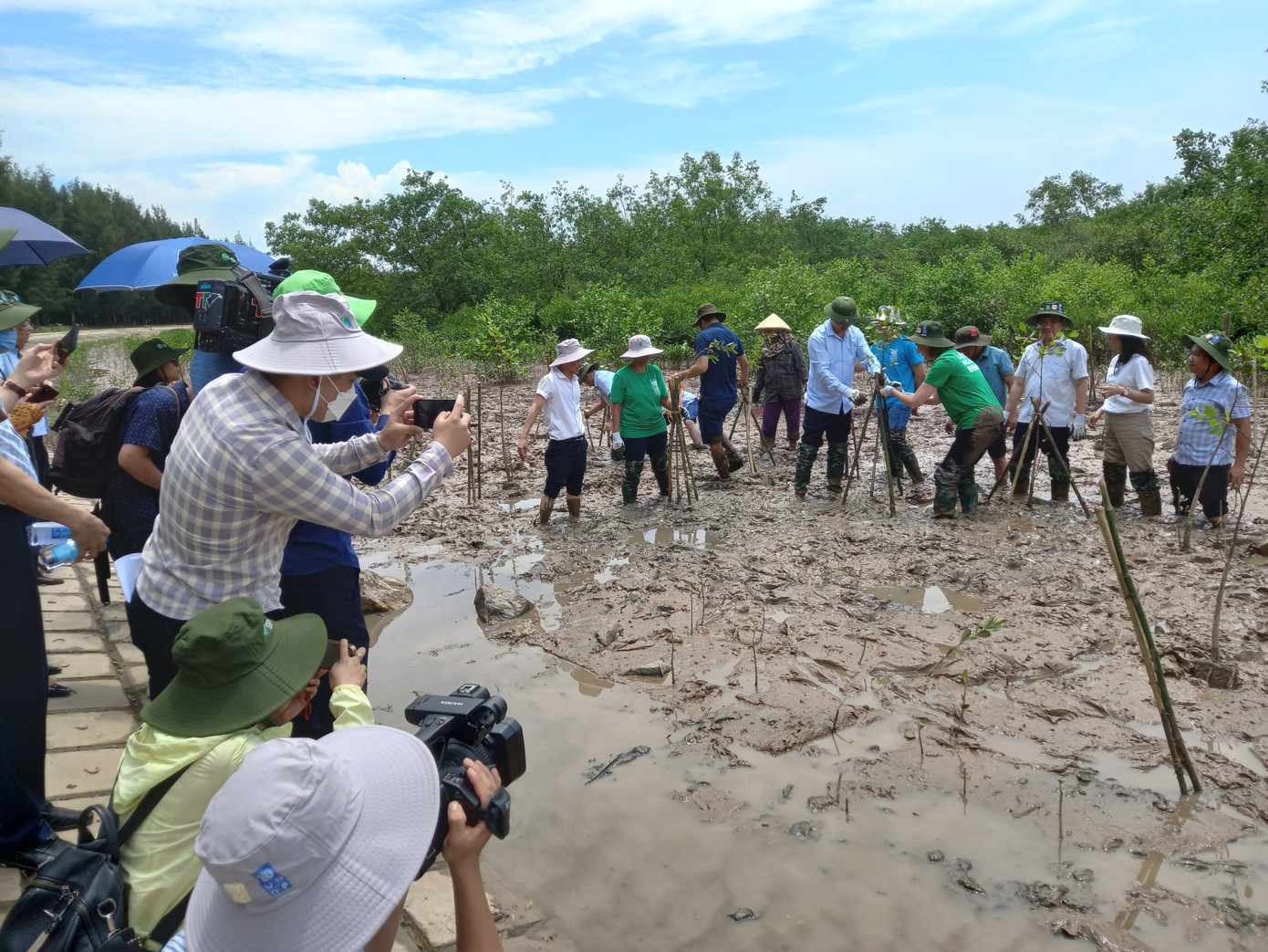 Dự án cũng tài trợ hoạt động trồng rừng ngập mặn ở Thanh Hoá. Dự án cũng tài trợ hoạt động trồng rừng ngập mặn ở Thanh Hoá.