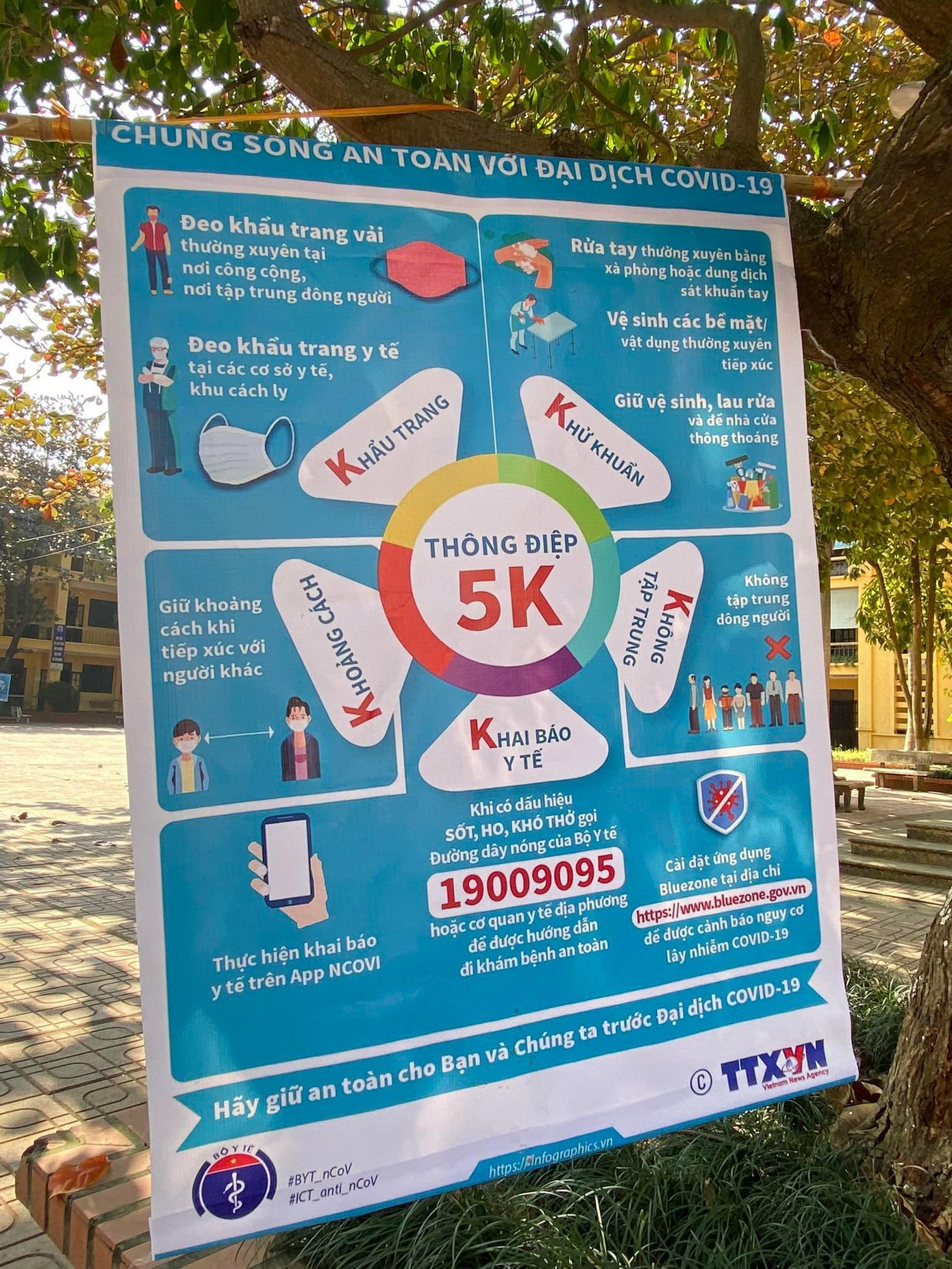 Thông điệp 5K được trường treo kín các gốc cây để học sinh dễ nhìn. Thông điệp 5K được trường treo kín các gốc cây để học sinh dễ nhìn.