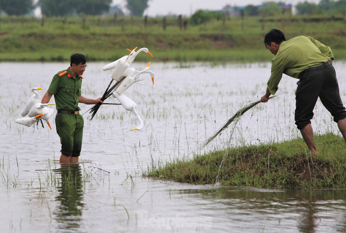 Lực lượng chức năng tháo gỡ bẫy chim giả tại Hà Tĩnh. Ảnh: Phạm Trường.