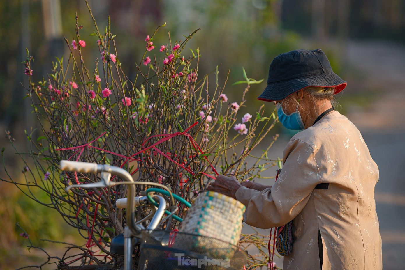 Miền Bắc tạnh ráo, nắng ấm trong hôm nay và ngày mai. Ảnh: Duy Phạm.