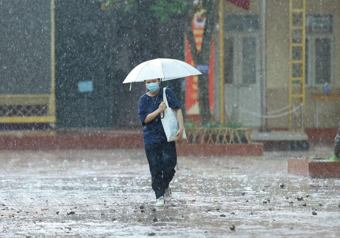 Miền Bắc đón mưa lớn từ đêm nay. Miền Bắc đón mưa lớn từ đêm nay.