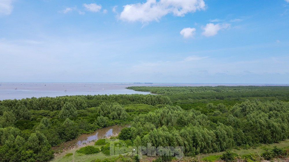 Việt Nam hướng tới bảo tồn các giá trị tự nhiên và đa dạng sinh học. Trong ảnh là Khu bảo tồn thiên nhiên đất ngập nước Tiền Hải của tỉnh Thái Bình. Ảnh: Trường Hùng. Việt Nam hướng tới bảo tồn các giá trị tự nhiên và đa dạng sinh học. Trong ảnh là Khu bảo tồn thiên nhiên đất ngập nước Tiền Hải của tỉnh Thái Bình. Ảnh: Trường Hùng.