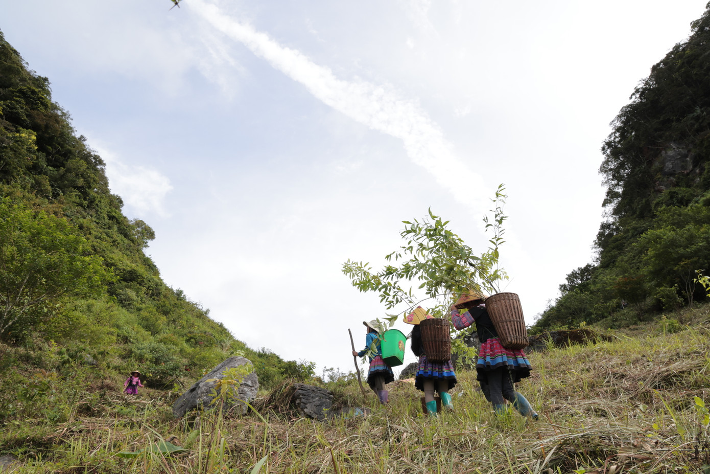 Chương trình Góp Lá Vá Rừng hướng tới mục tiêu phục hồi 50ha rừng trong năm nay. Chương trình Góp Lá Vá Rừng hướng tới mục tiêu phục hồi 50ha rừng trong năm nay.