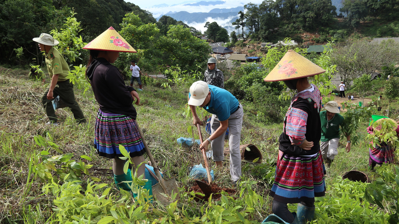 Các đại biểu và người dân tham gia trồng rừng sáng 20/8. Các đại biểu và người dân tham gia trồng rừng sáng 20/8.