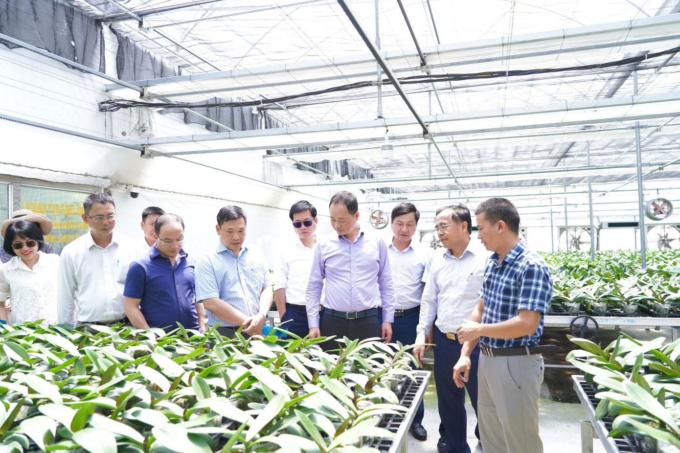 Thứ trưởng Bộ KH&CN Trần Hồng Thái cùng đoàn công tác tham quan mô hình nông nghiệp công nghệ cao sản xuất lan hồ điệp tại xã Thạch Khê, huyện Thạch Hà. Thứ trưởng Bộ KH&CN Trần Hồng Thái cùng đoàn công tác tham quan mô hình nông nghiệp công nghệ cao sản xuất lan hồ điệp tại xã Thạch Khê, huyện Thạch Hà.