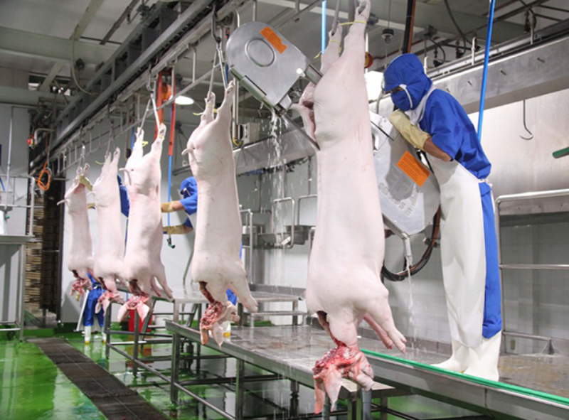 Dự thảo nghị định sửa đổi, bổ sung nghị định 08 năm 2022 vẫn giữ nguyên quy định mổ từ 10 con lợn phải có giấy phép môi trường. Dự thảo nghị định sửa đổi, bổ sung nghị định 08 năm 2022 vẫn giữ nguyên quy định mổ từ 10 con lợn phải có giấy phép môi trường.