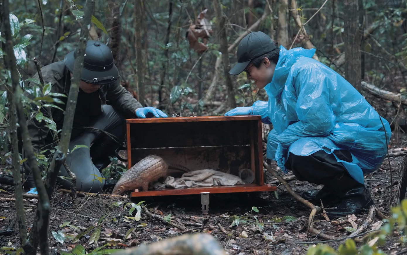 Ca sĩ Hà Anh Tuấn xuất hiện trong video kêu gọi bảo vệ động vật hoang dã.