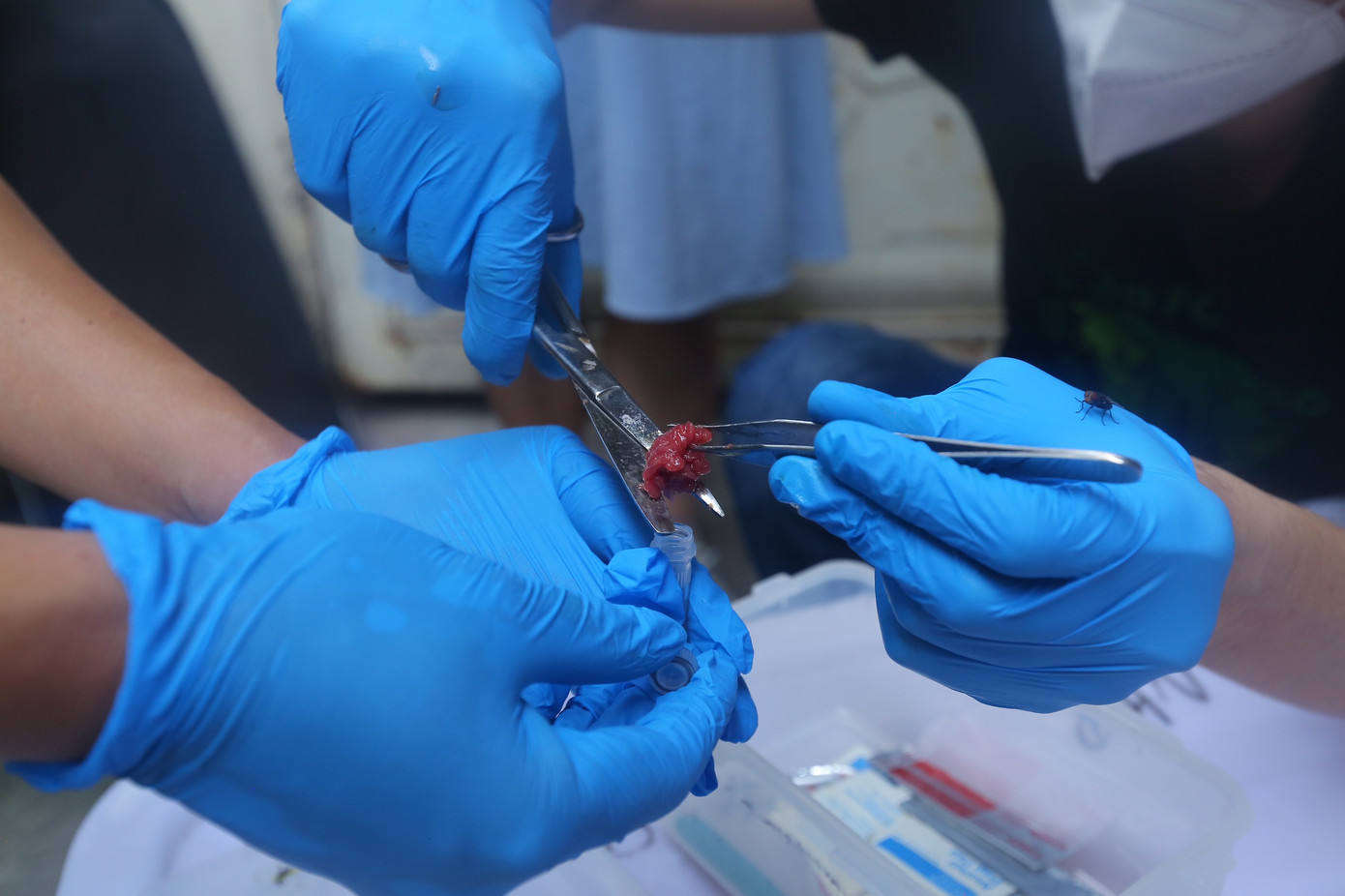 Mẫu vật được các nhà khoa học thu thập để thực hiện các xét nghiệm, phân tích. Mẫu vật được các nhà khoa học thu thập để thực hiện các xét nghiệm, phân tích.