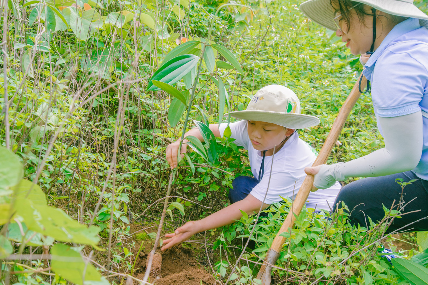 Một học sinh tham gia hoạt động trồng rừng sáng 2/6. Ảnh: Pannature. Một học sinh tham gia hoạt động trồng rừng sáng 2/6. Ảnh: Pannature.