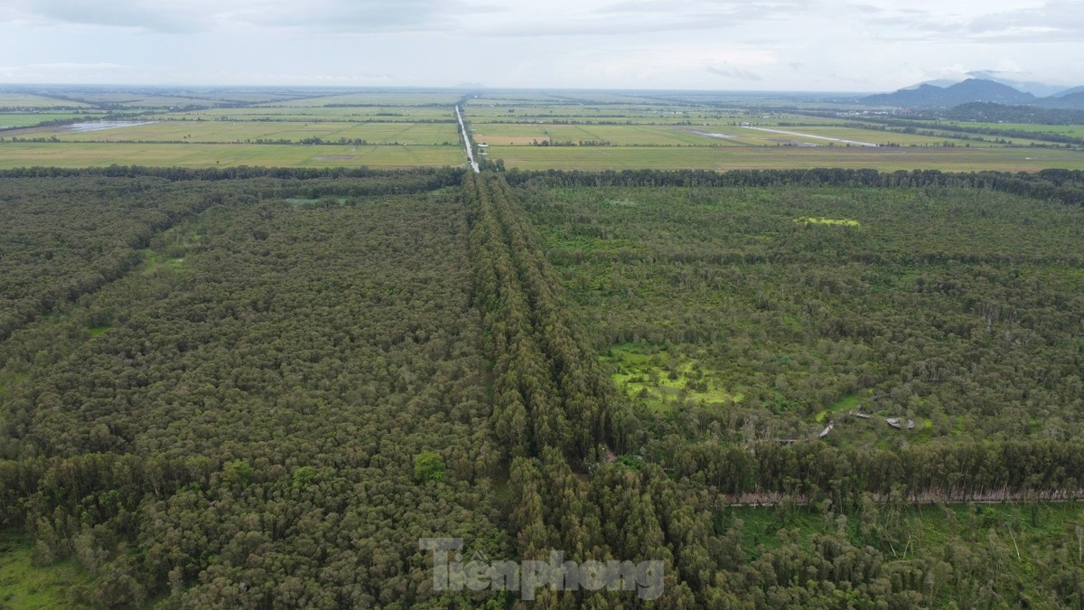 Toàn cảnh Khu bảo vệ cảnh quan rừng Tràm Trà Sư, An Giang. Ảnh: Minh Châu. Toàn cảnh Khu bảo vệ cảnh quan rừng Tràm Trà Sư, An Giang. Ảnh: Minh Châu.