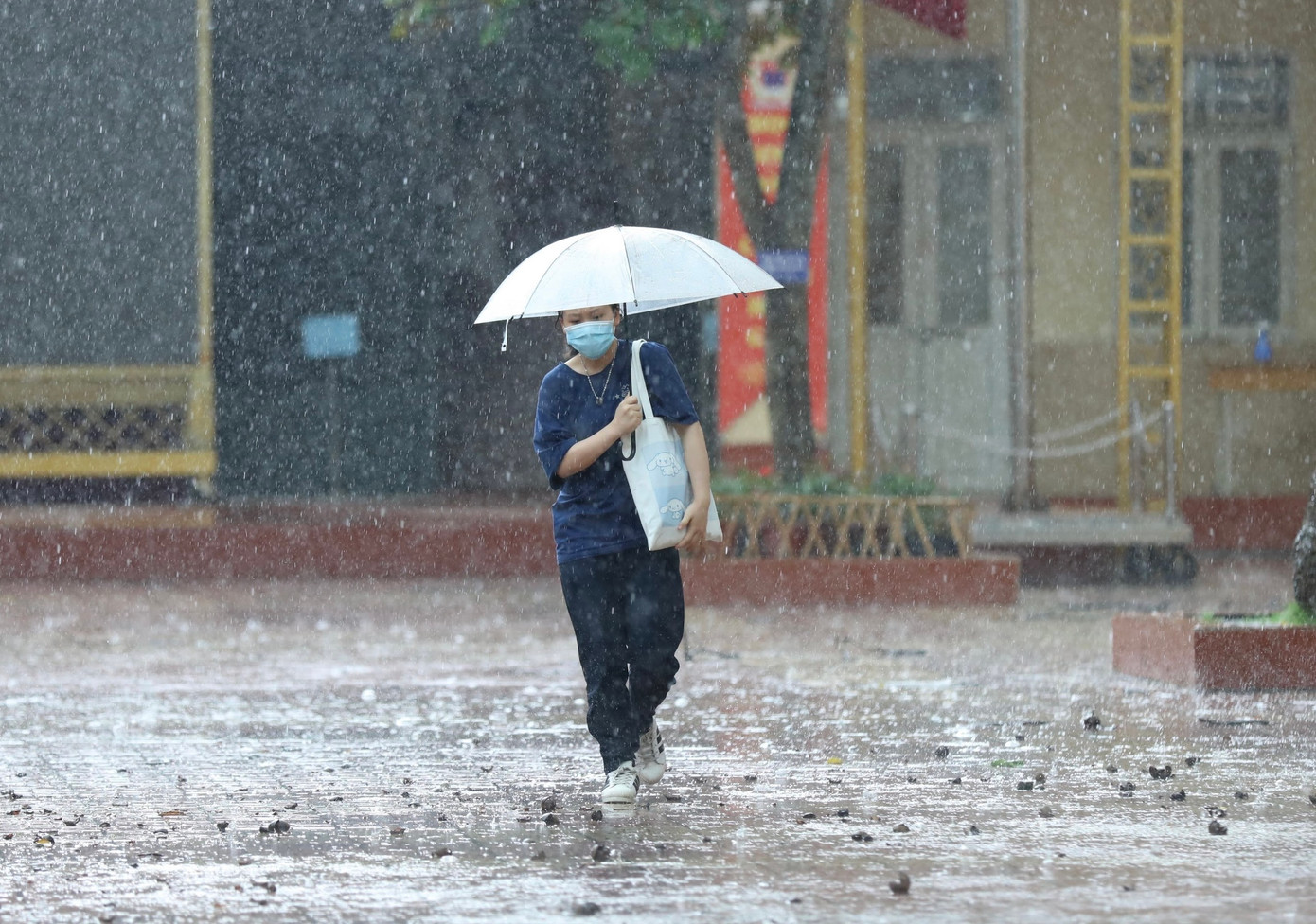 Miền Bắc có thể đón mưa trong ngày 27/6. Ảnh: Hoàng Mạnh Thắng.