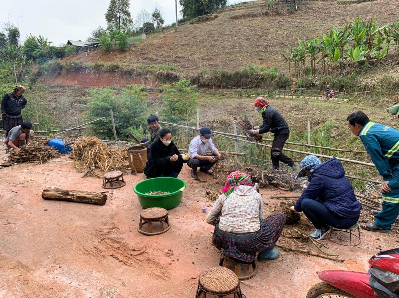 Bà con kiểm tra thân ngầm trước khi trồng tre. Bà con kiểm tra thân ngầm trước khi trồng tre.