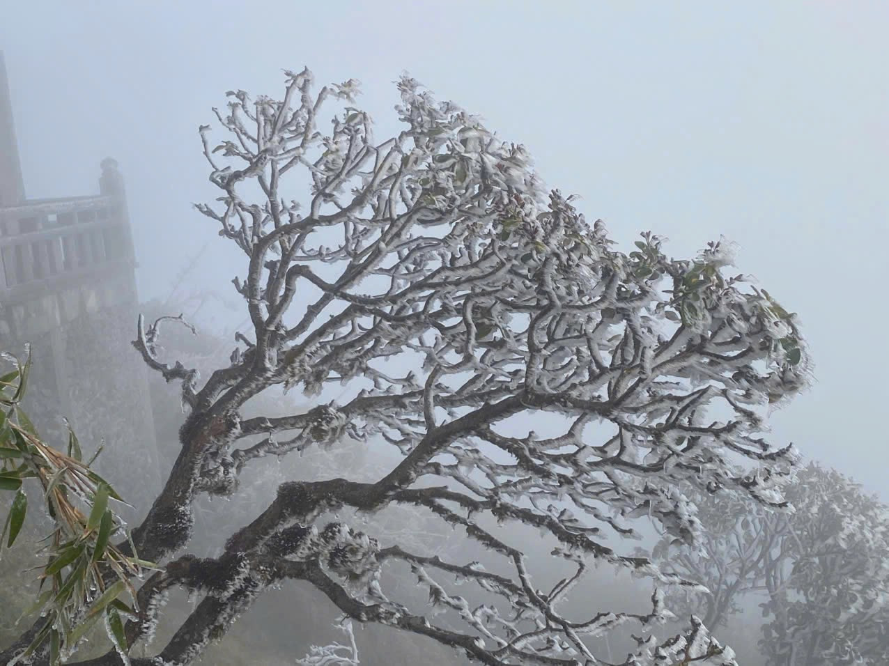 Vùng núi Bắc Bộ có thể đón mưa tuyết, băng giá vào cuối tuần này.