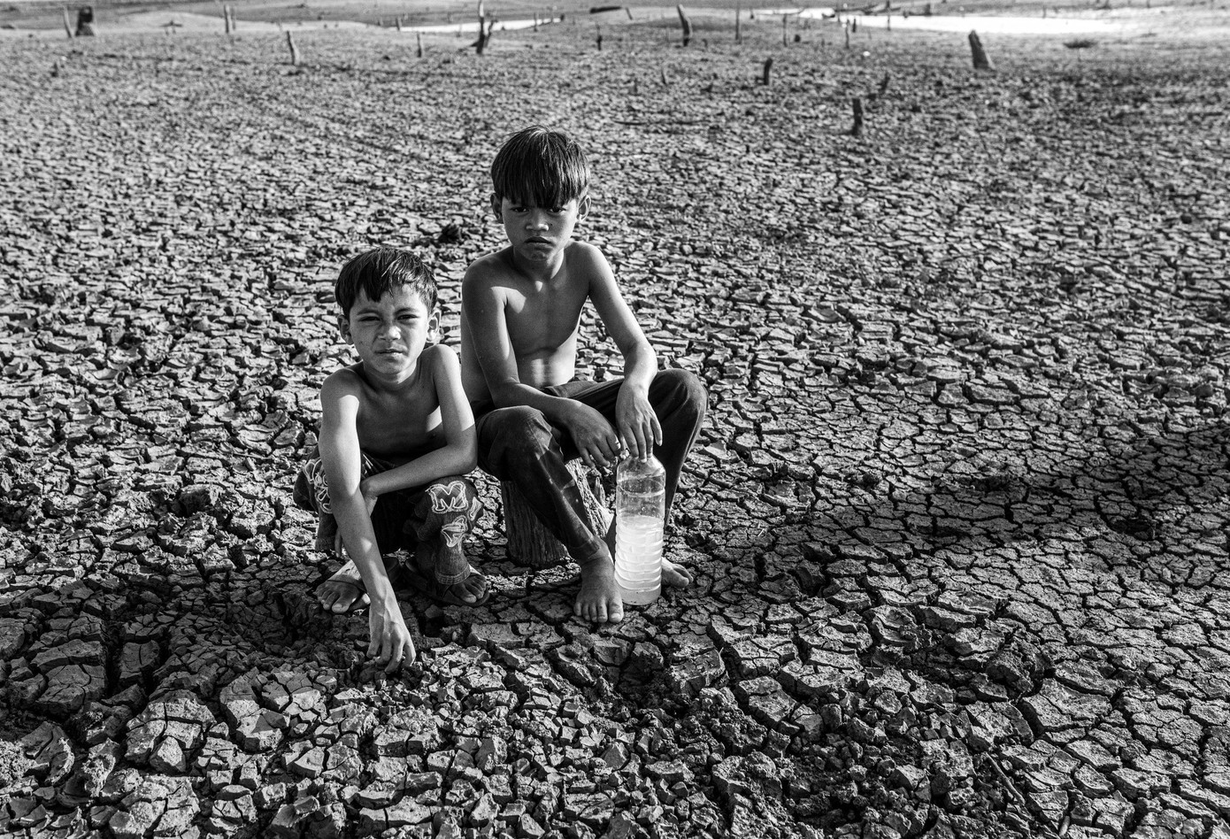 Tác phẩm Hạn hán của tác giả Trần Minh Trí gây ấn tượng mạnh trong số các bài thi Ảnh tháng 5 của cuộc thi Giấc Mơ Xanh.