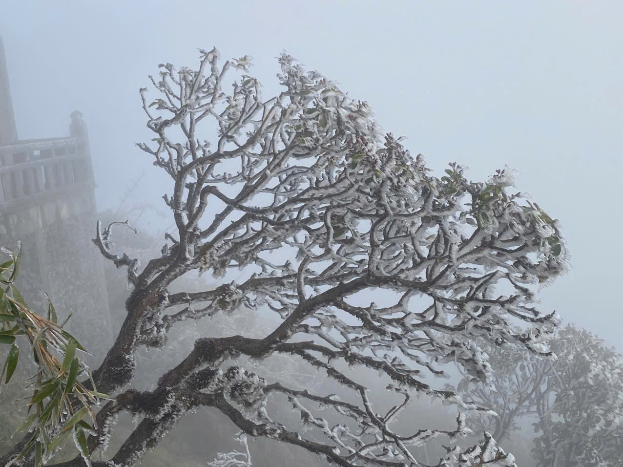 Vùng núi cao có thể xuất hiện băng giá trong đợt rét này.