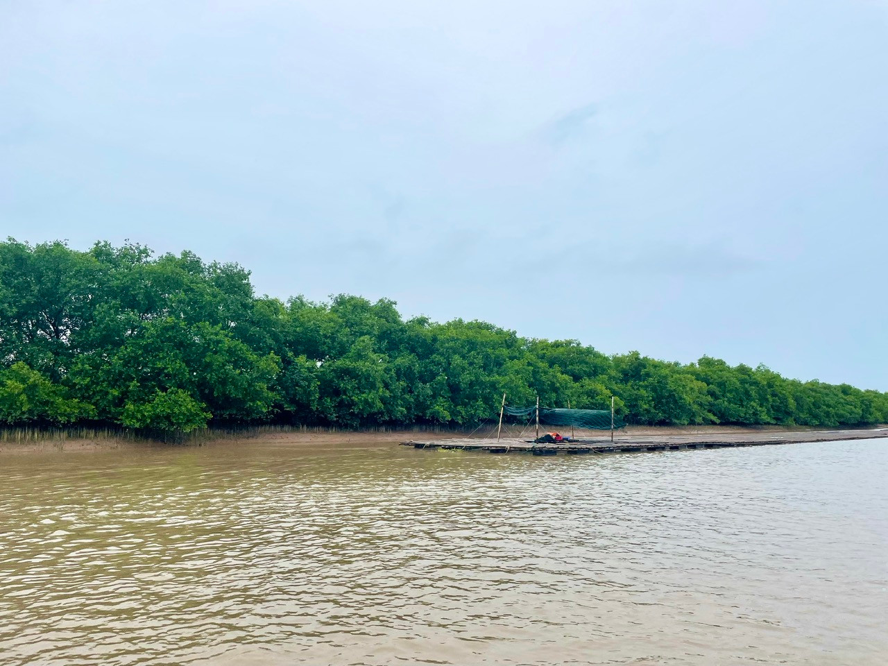 Rừng ngập mặn trong phân khu bảo tồn nghiêm ngặt của Khu bảo tồn thiên nhiên đất ngập nước Tiền Hải. Ảnh: Nguyễn Hoài. Rừng ngập mặn trong phân khu bảo tồn nghiêm ngặt của Khu bảo tồn thiên nhiên đất ngập nước Tiền Hải. Ảnh: Nguyễn Hoài.