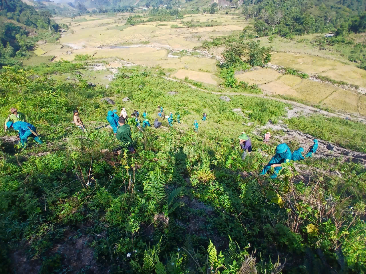 Các tình nguyện viên tham gia trồng rừng tại Vân Hồ. Các tình nguyện viên tham gia trồng rừng tại Vân Hồ.