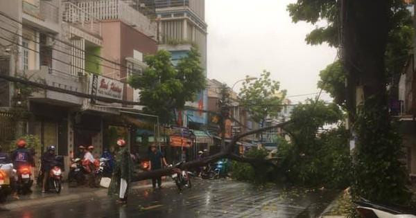 Cơ quan khí tượng khuyến cáo, Nam Bộ sắp bước vào cao điểm của mùa mưa, cần đề phòng hiện tượng dông, lốc sét và gió giật mạnh.