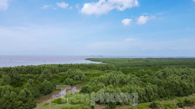 Hầu hết các thẩm quyền của cấp huyện trong lĩnh vực lâm nghiệp được phân về cấp xã. Trong ảnh là Khu bảo tồn thiên nhiên đất ngập nước Tiền Hải.