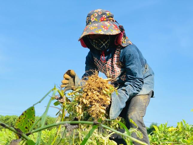 Riêng các tỉnh Quảng Bình - Phú Yên hôm nay đón nắng nóng.