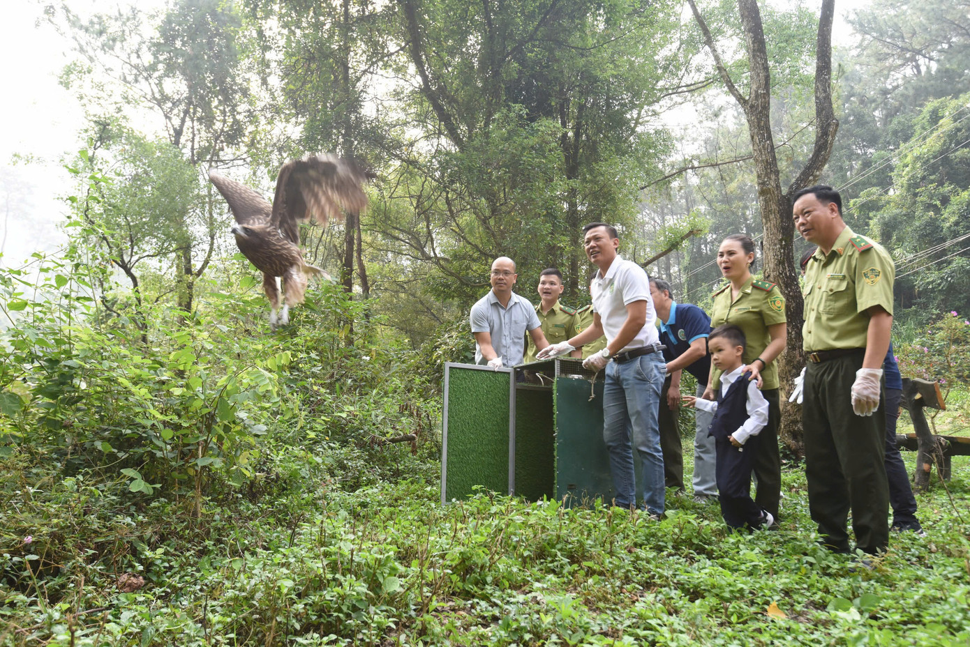 Lực lượng chức năng thực hiện tái thả các cá thể chim về rừng. Lực lượng chức năng thực hiện tái thả các cá thể chim về rừng.